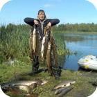 Рыбалка на озере Щучьем в Смоленской области